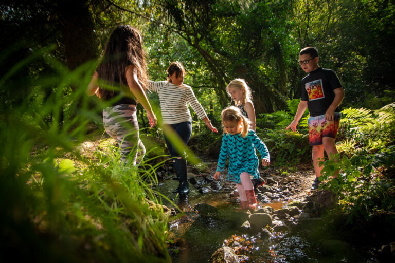 Environmental Day Camps for Schools – New for 2023!